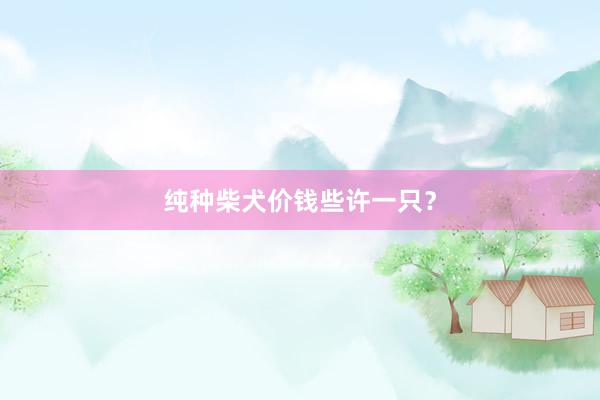 纯种柴犬价钱些许一只？