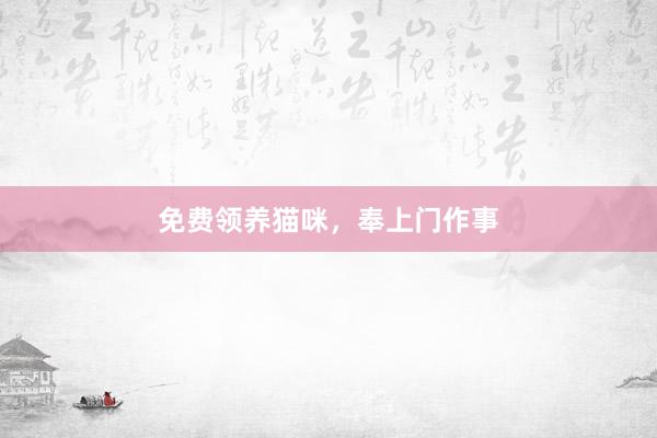 免费领养猫咪，奉上门作事